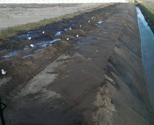 bollenkwekers-muntjewerf-graafmachines-talud