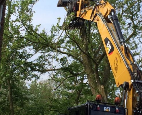 groenvoorziening-muntjewerfgraafmachines-bomen