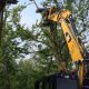 groenvoorziening-muntjewerfgraafmachines-bomen