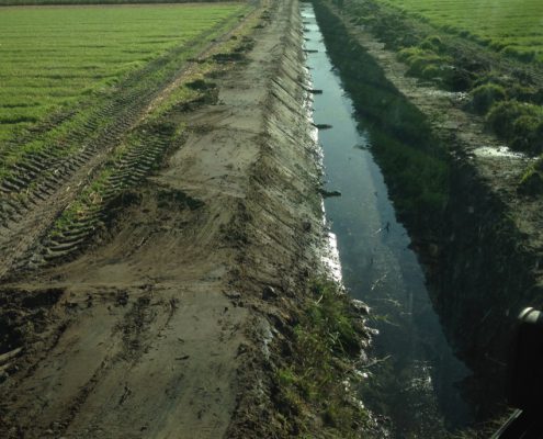 bollenkwekers-muntjewerf-graafmachines-talud-trekken